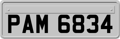 PAM6834