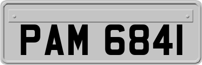 PAM6841