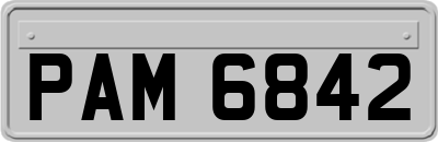 PAM6842