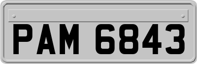 PAM6843