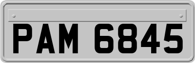 PAM6845
