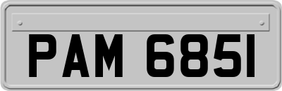 PAM6851