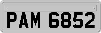 PAM6852