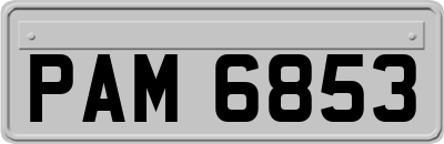 PAM6853