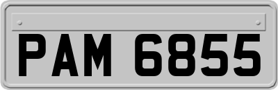 PAM6855