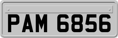 PAM6856