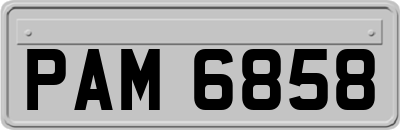 PAM6858