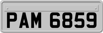 PAM6859