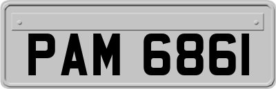 PAM6861