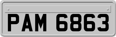 PAM6863