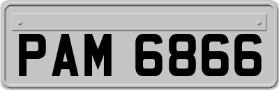 PAM6866