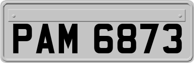 PAM6873
