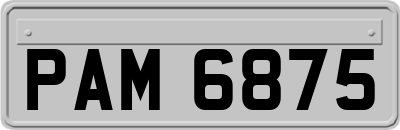 PAM6875