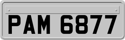 PAM6877