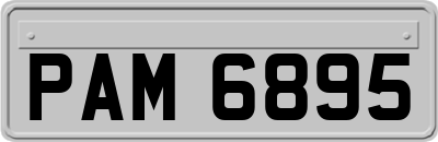 PAM6895