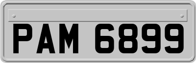 PAM6899
