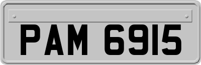 PAM6915