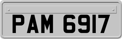 PAM6917