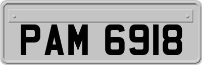 PAM6918