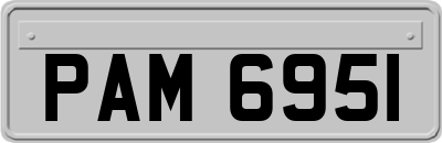 PAM6951