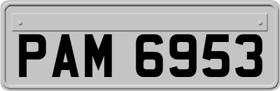 PAM6953
