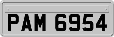PAM6954