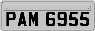 PAM6955