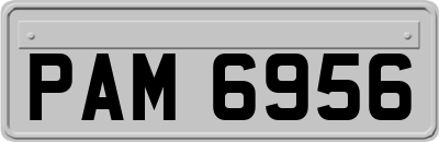 PAM6956