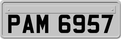 PAM6957