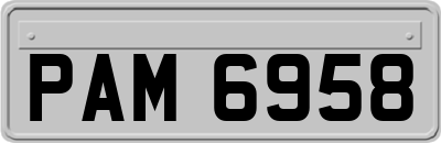 PAM6958