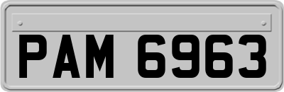 PAM6963