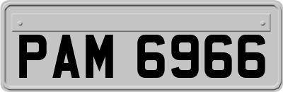 PAM6966