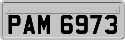 PAM6973