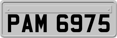 PAM6975