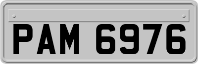 PAM6976