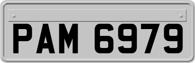 PAM6979