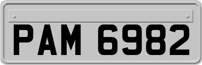 PAM6982