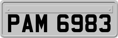 PAM6983
