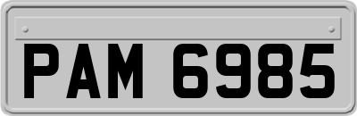 PAM6985