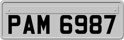PAM6987