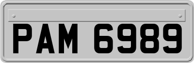 PAM6989
