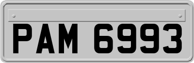 PAM6993