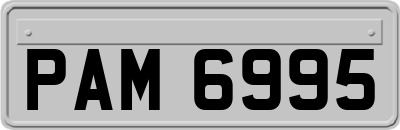 PAM6995