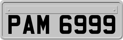 PAM6999