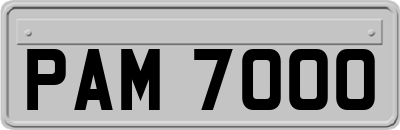 PAM7000