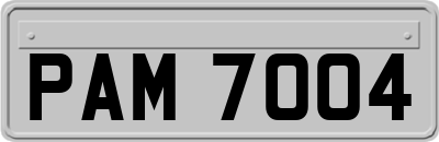 PAM7004