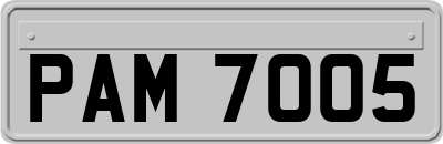 PAM7005