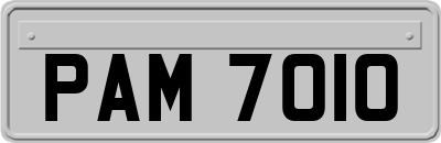 PAM7010