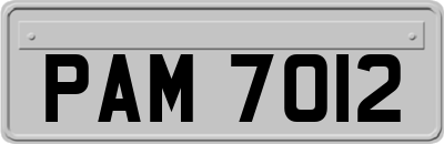 PAM7012