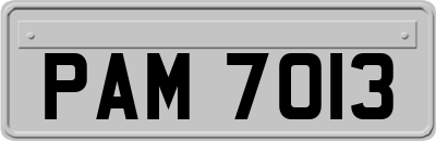 PAM7013